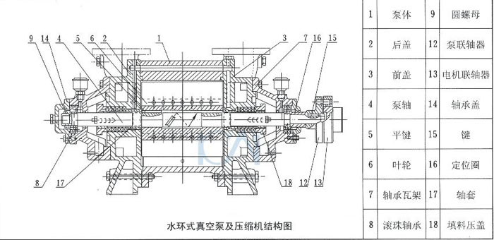 水環真空泵結構圖